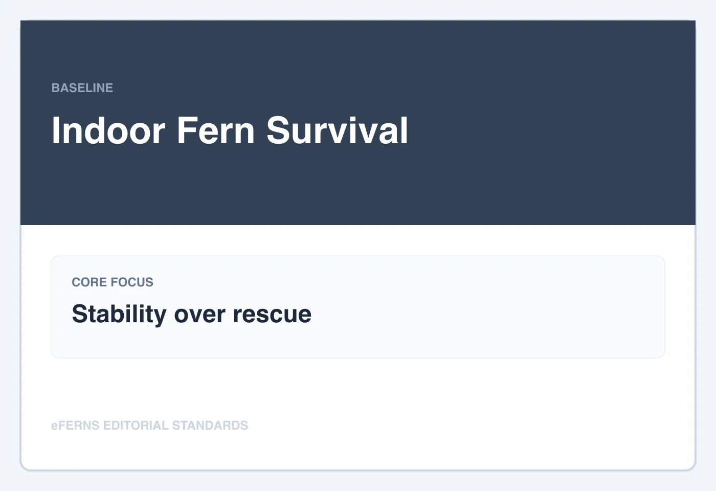 Indoor fern survival guide illustration