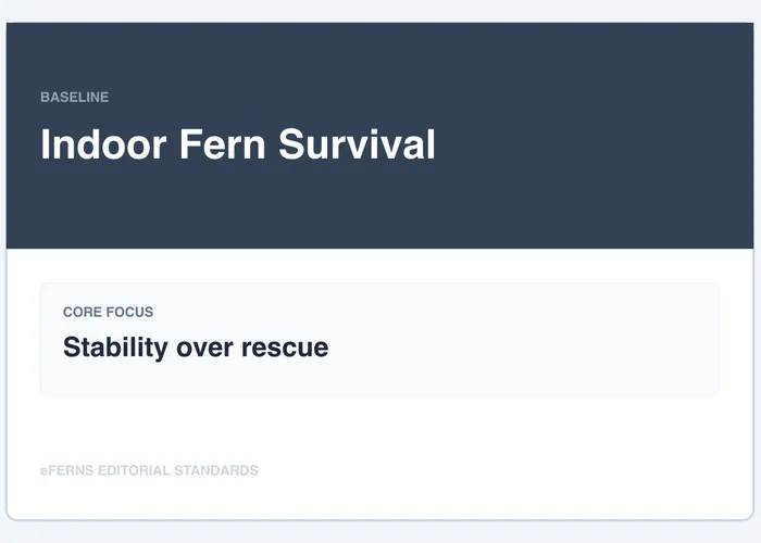 Indoor fern survival guide illustration