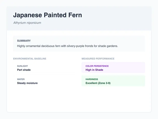 Japanese painted fern profile illustration