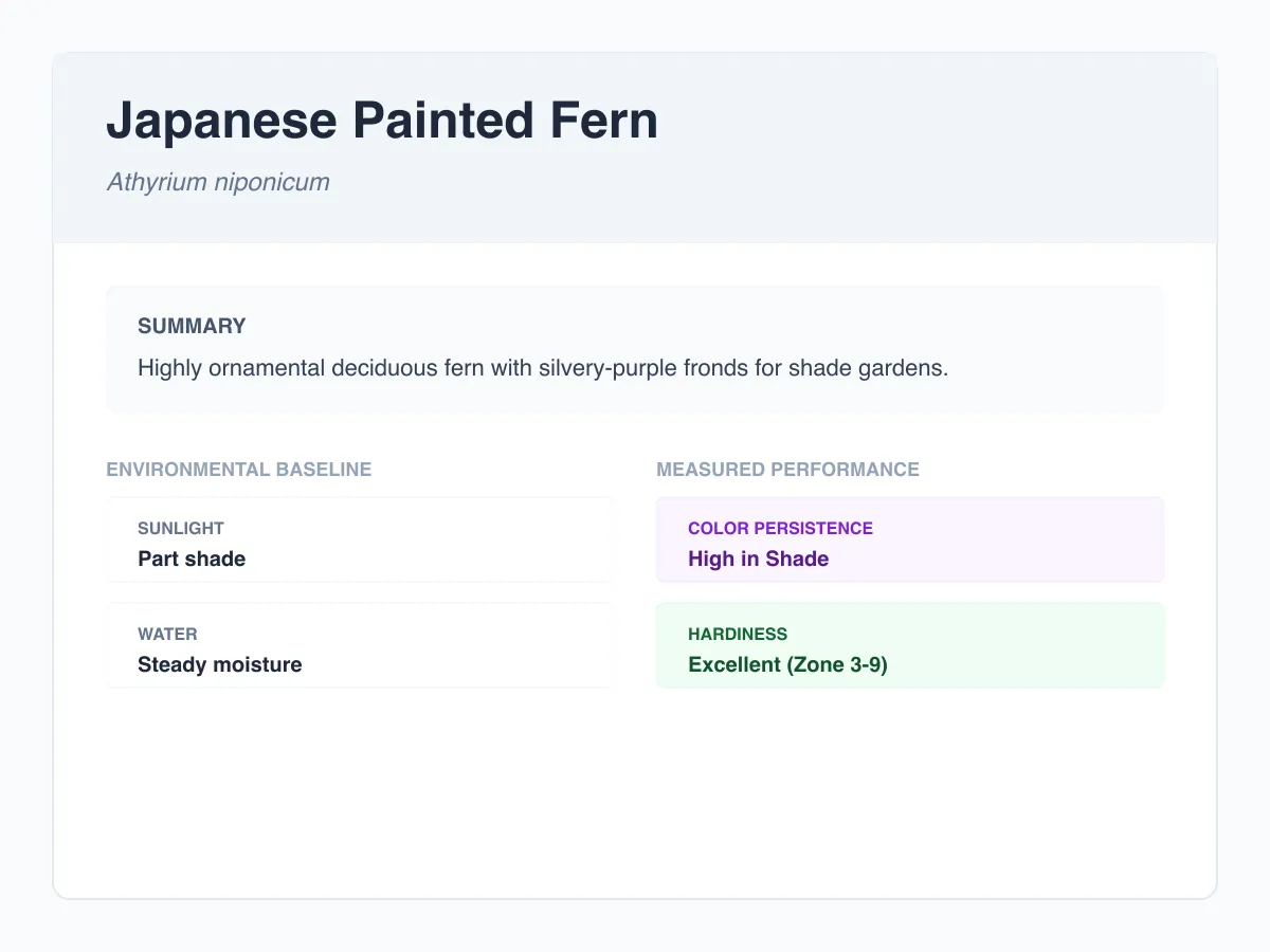 Japanese painted fern profile illustration