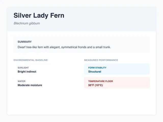 Silver lady fern profile illustration